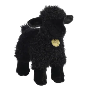 Black Lamb