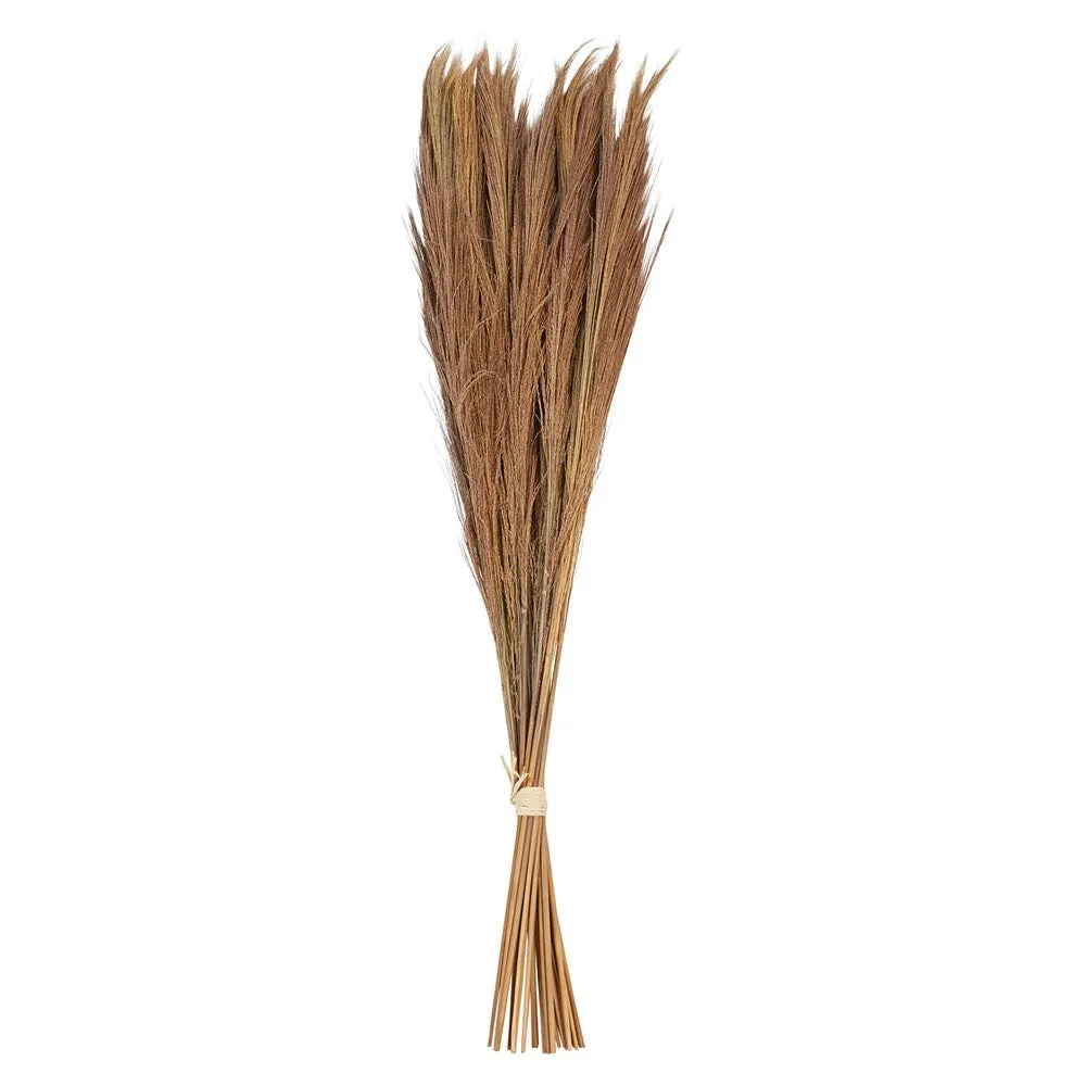 Dried Natural Tiger Grass