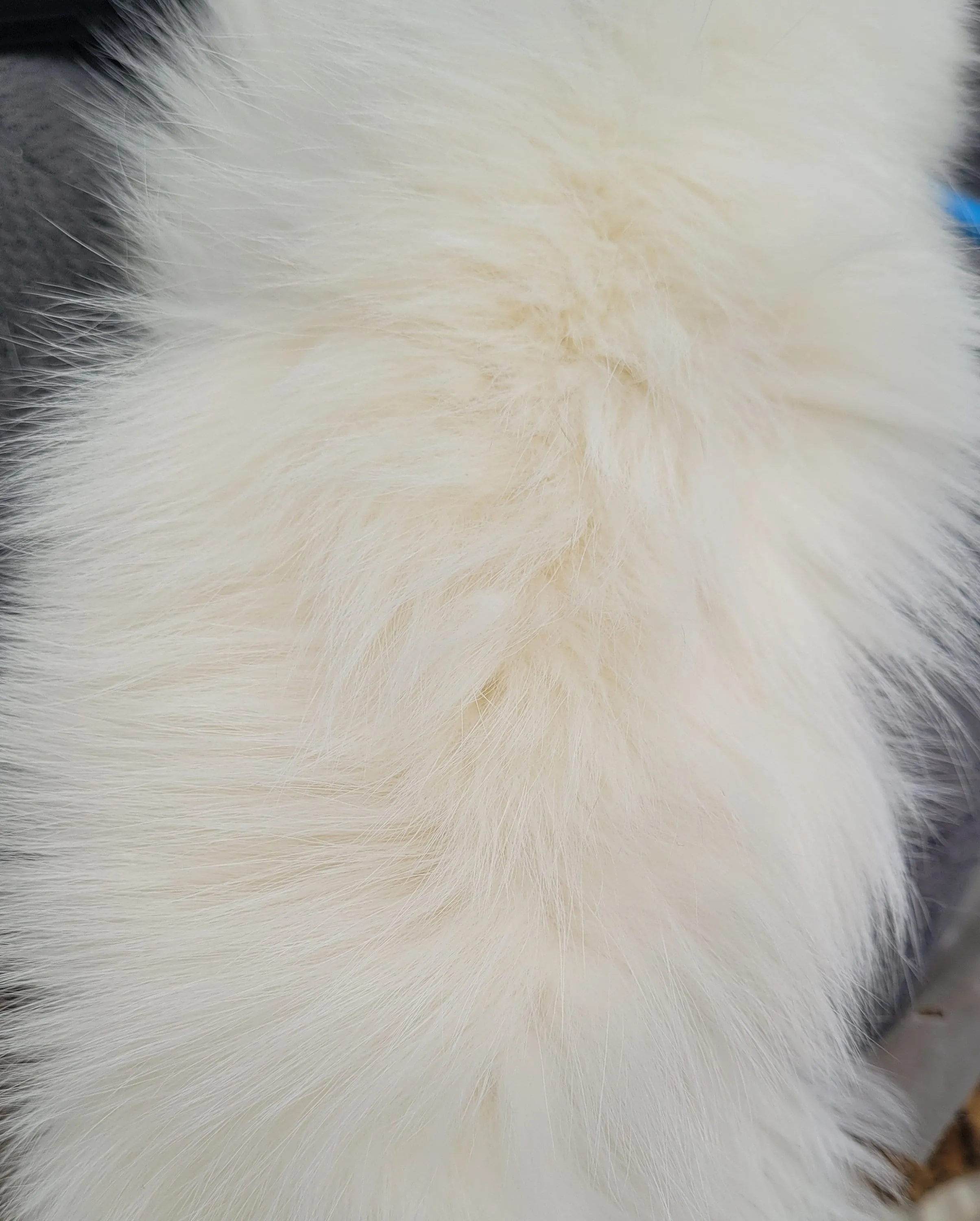 Large IVORY Fox Fur Trim, Collar for Hood (PIECES), 80 cm