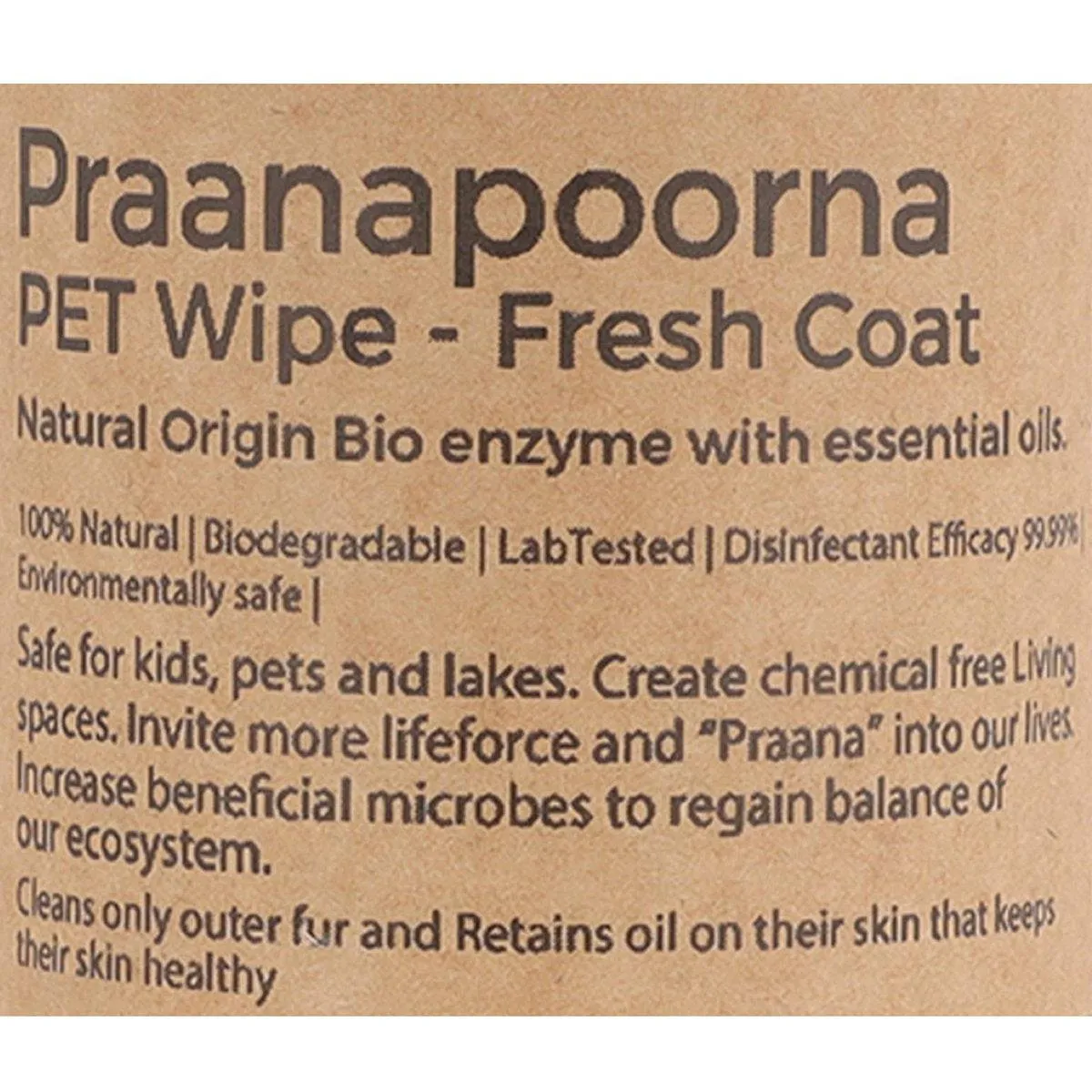 PET Wipe for Fresh Coat 350ml