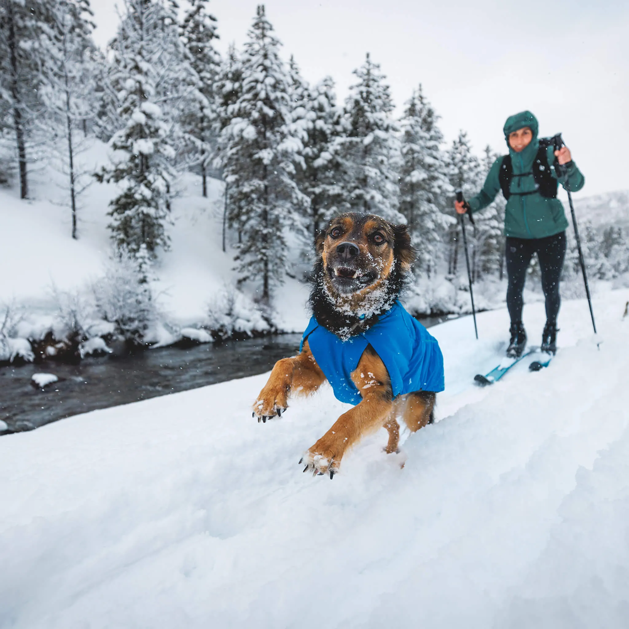 RuffWear Vert Jacket for Dogs