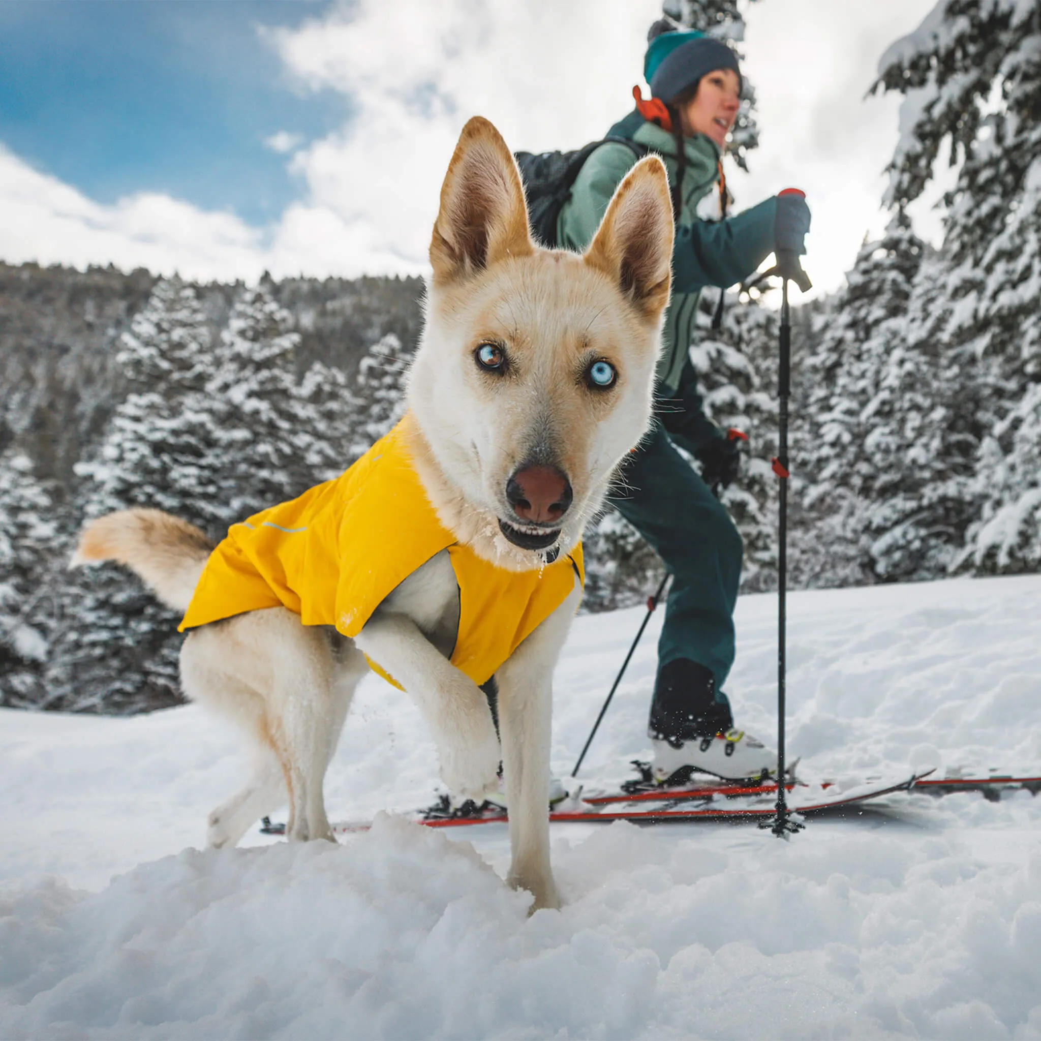 RuffWear Vert Jacket for Dogs